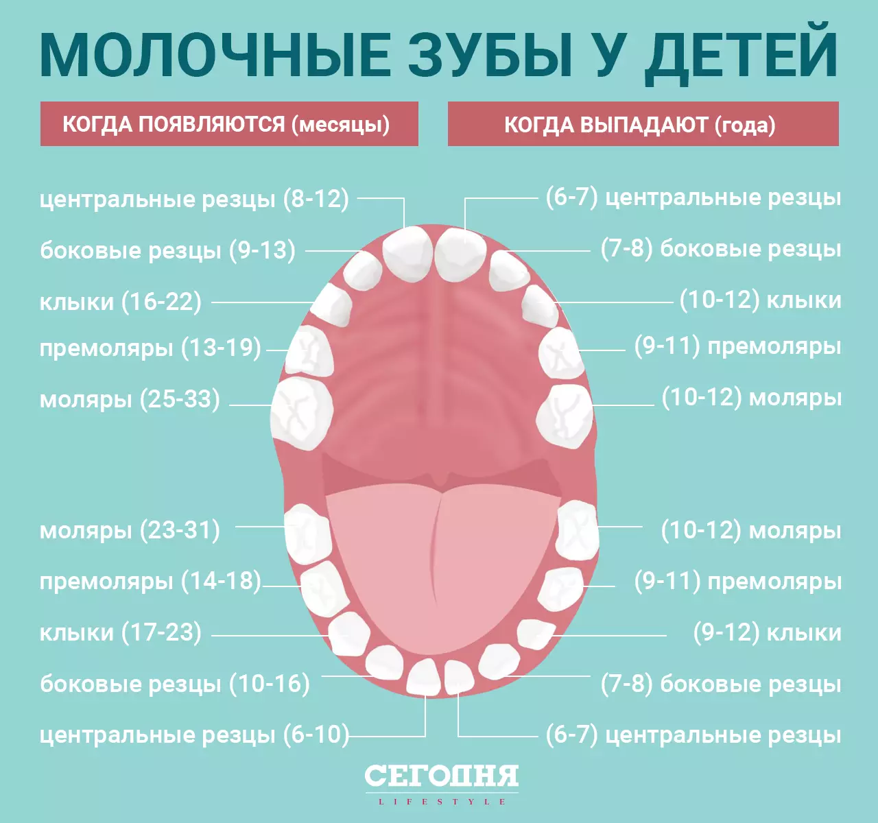 Сколько меняется зубов у детей на постоянные