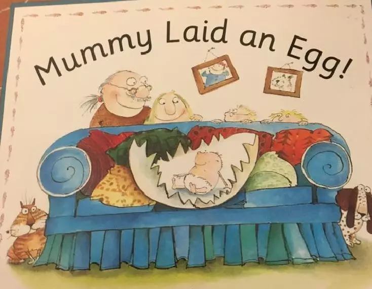 Книга "Мамочка снесла яйцо!"