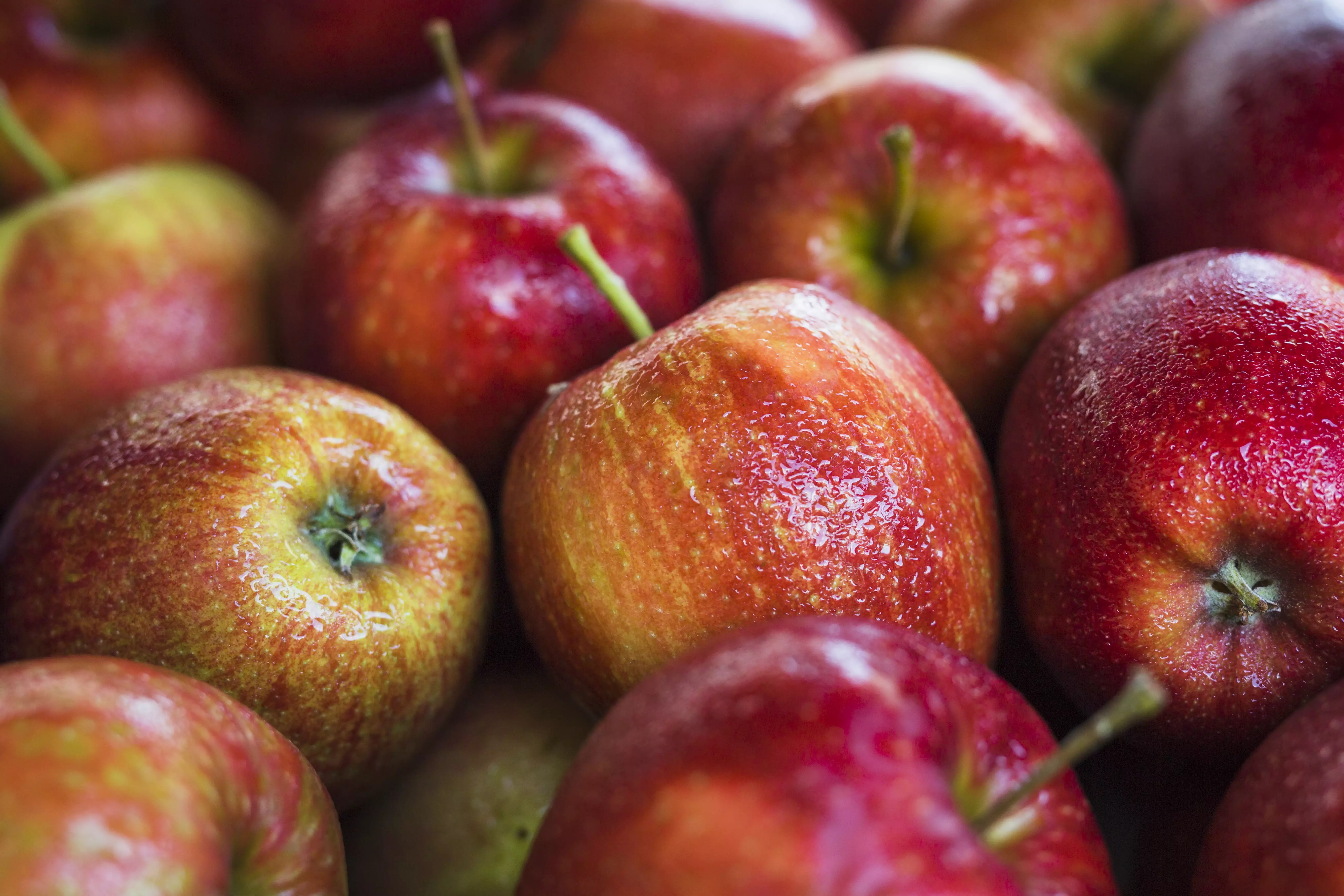 Яблоки могут быть опасны для аллергиков