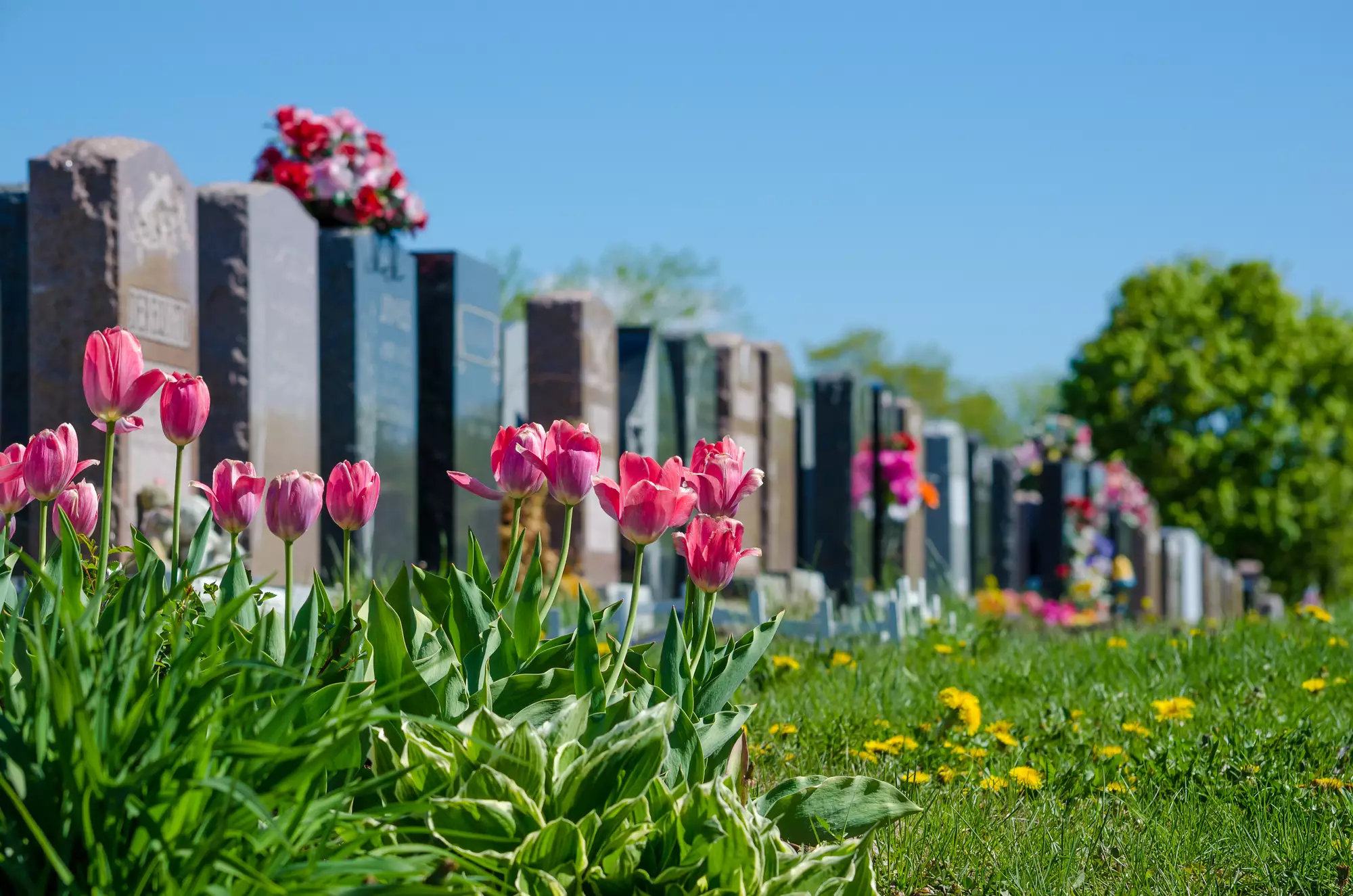 14 марта нужно пойти на кладбище и помянуть почивших близких