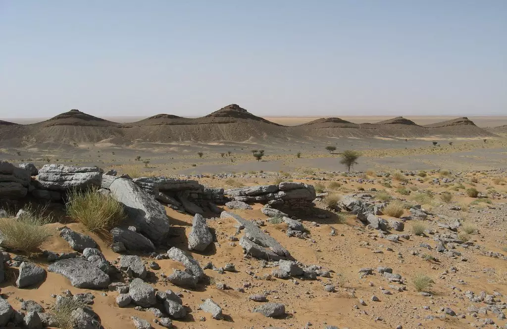 Юго-восток Марокко, где были обнаружены десятки окаменелостей различных хищников мелового периода
