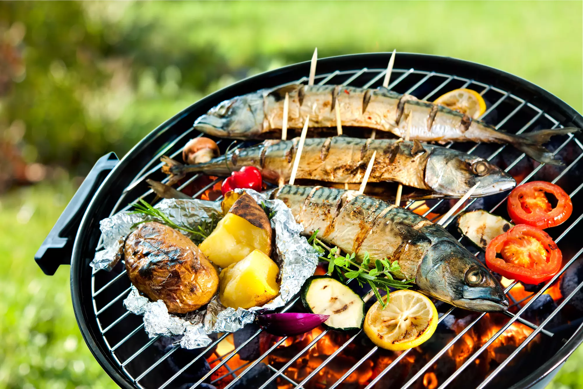 Рыба на мангале на решетке – лучшие рецепты шашлыка, стейка, филе, марнада