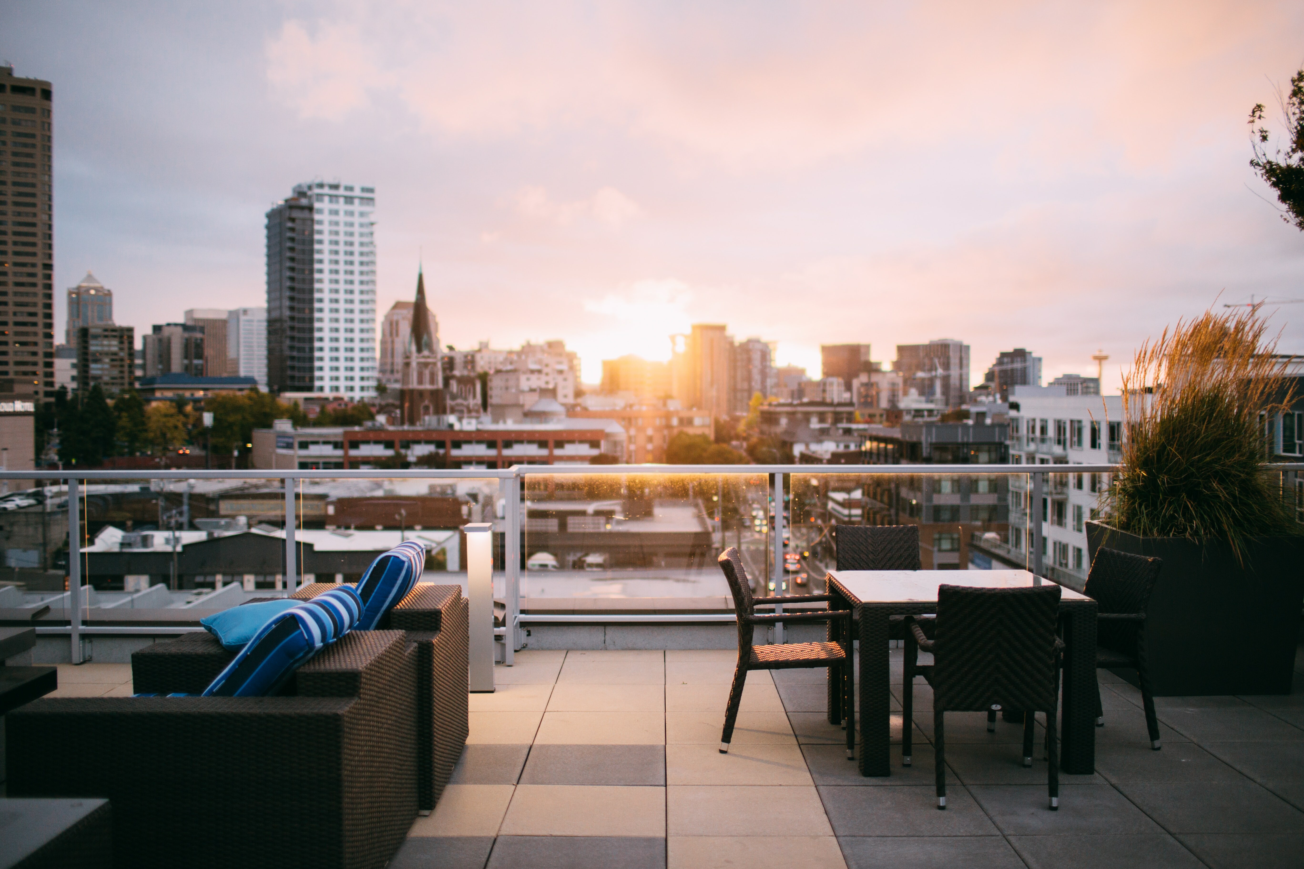 Roof Top Romp