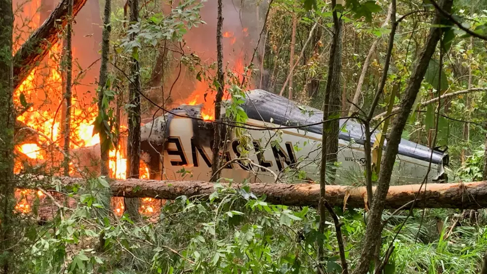 Катастрофа літака в Джорджії. Фото: Putnam County Sheriff Howard Sills