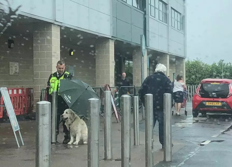 Охранник в Шотландии держал зонтик над собакой