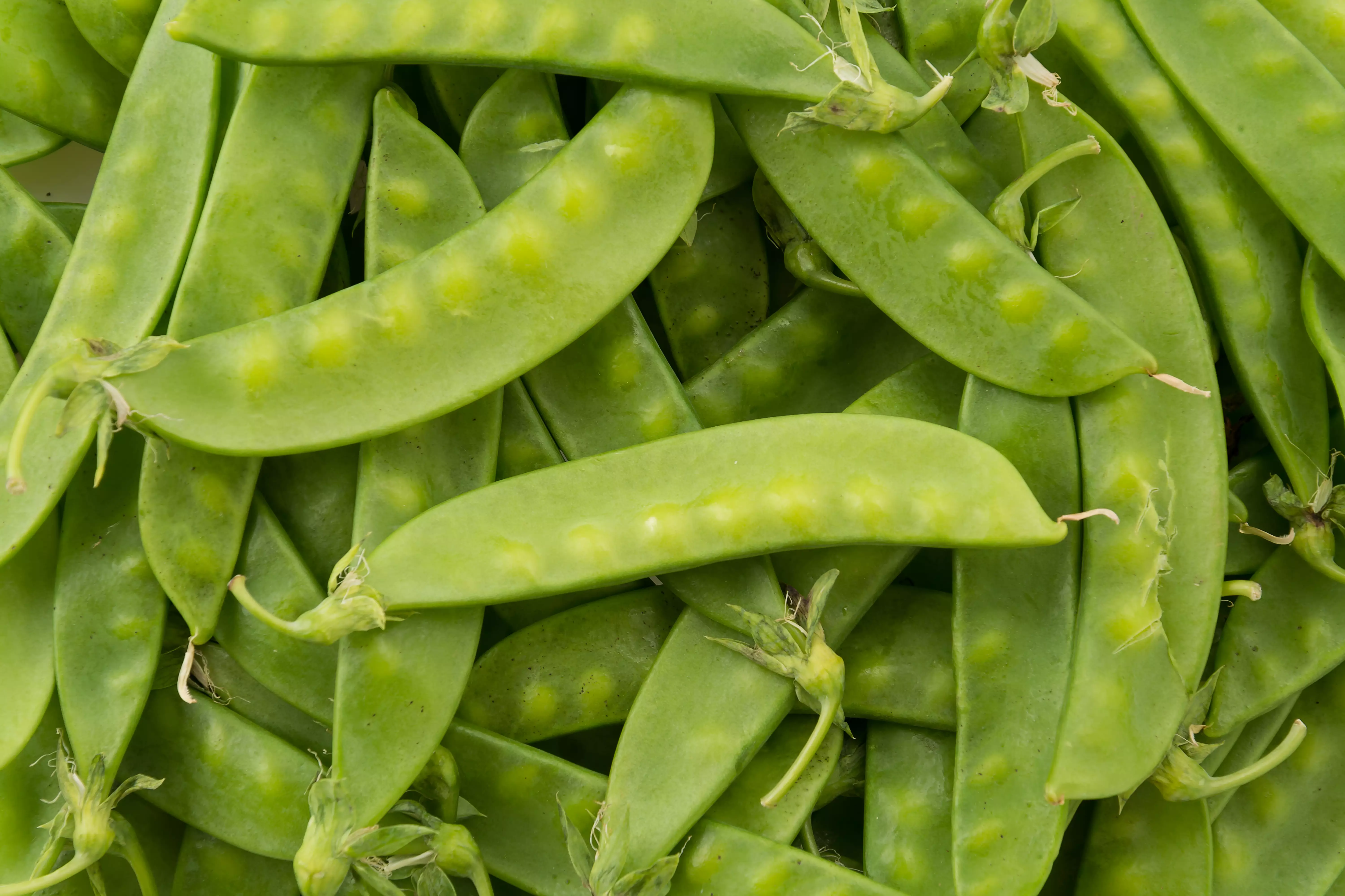 Зелений горох – це овоч Раків