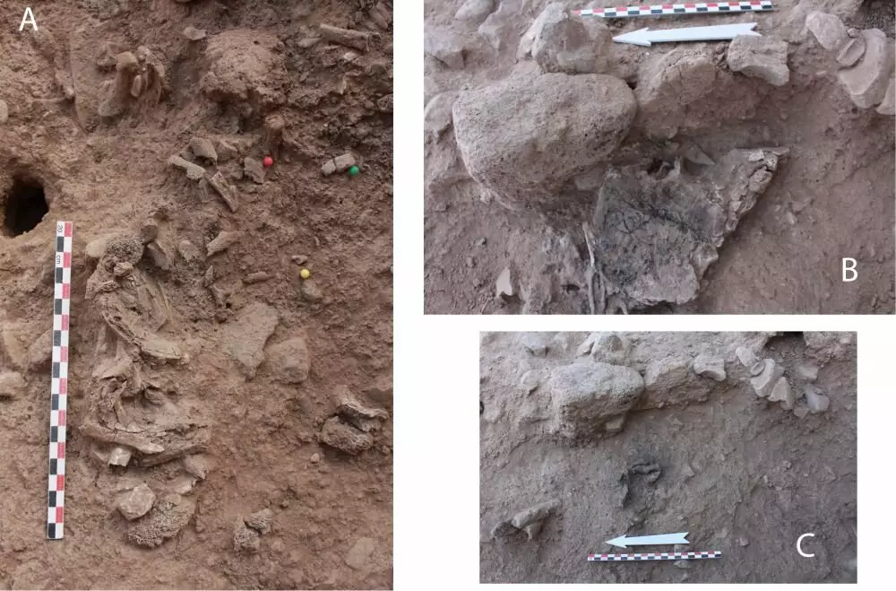 Останки сгоревшего древнего скелета с ребрами и позвонками