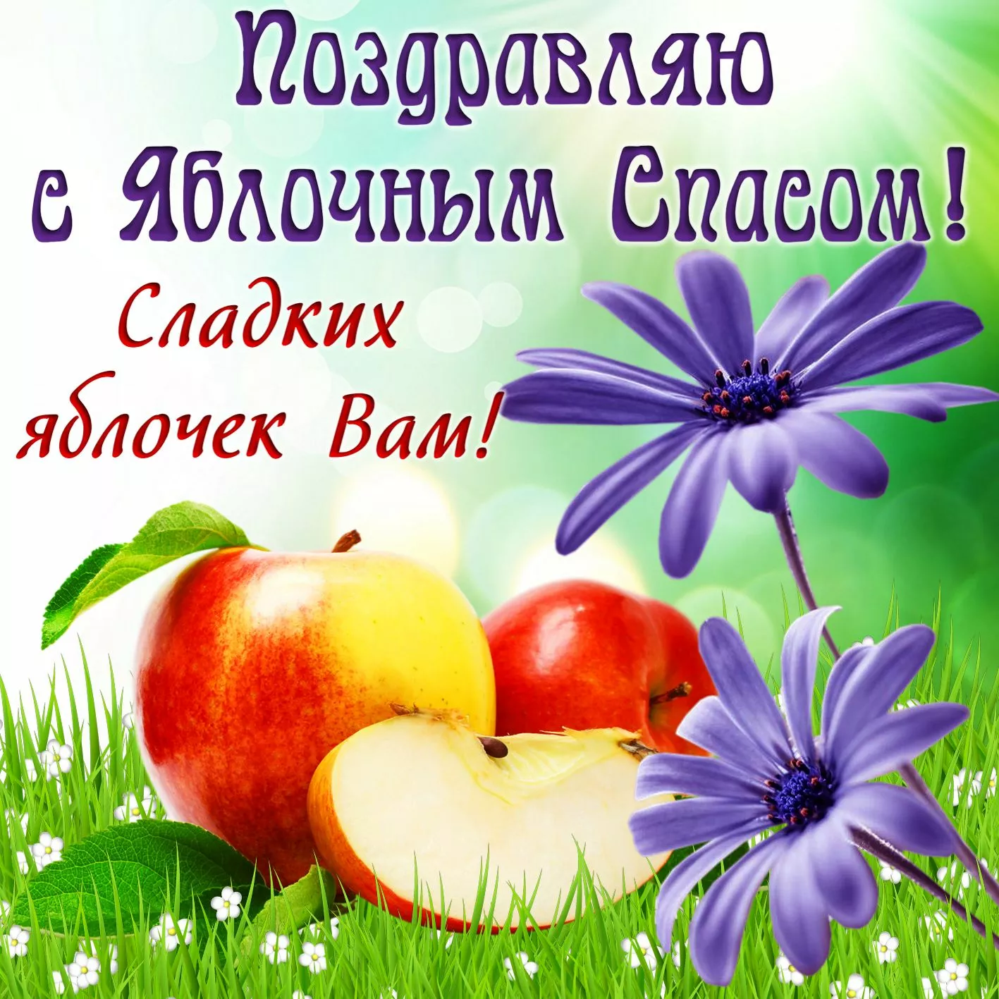 Яблучний Спас: красиві картинки і вітальні листівки