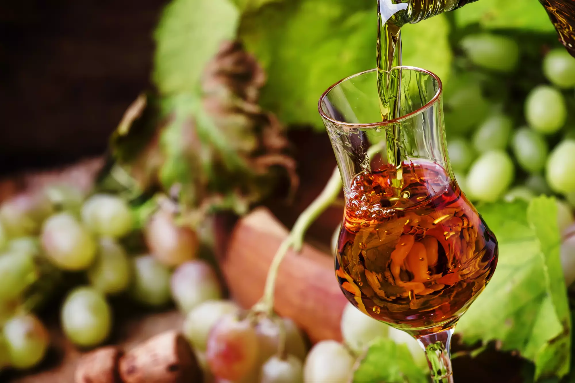 Домашнее вино из винограда изабелла