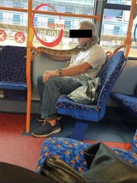 Британец со змеей на лице в автобусе