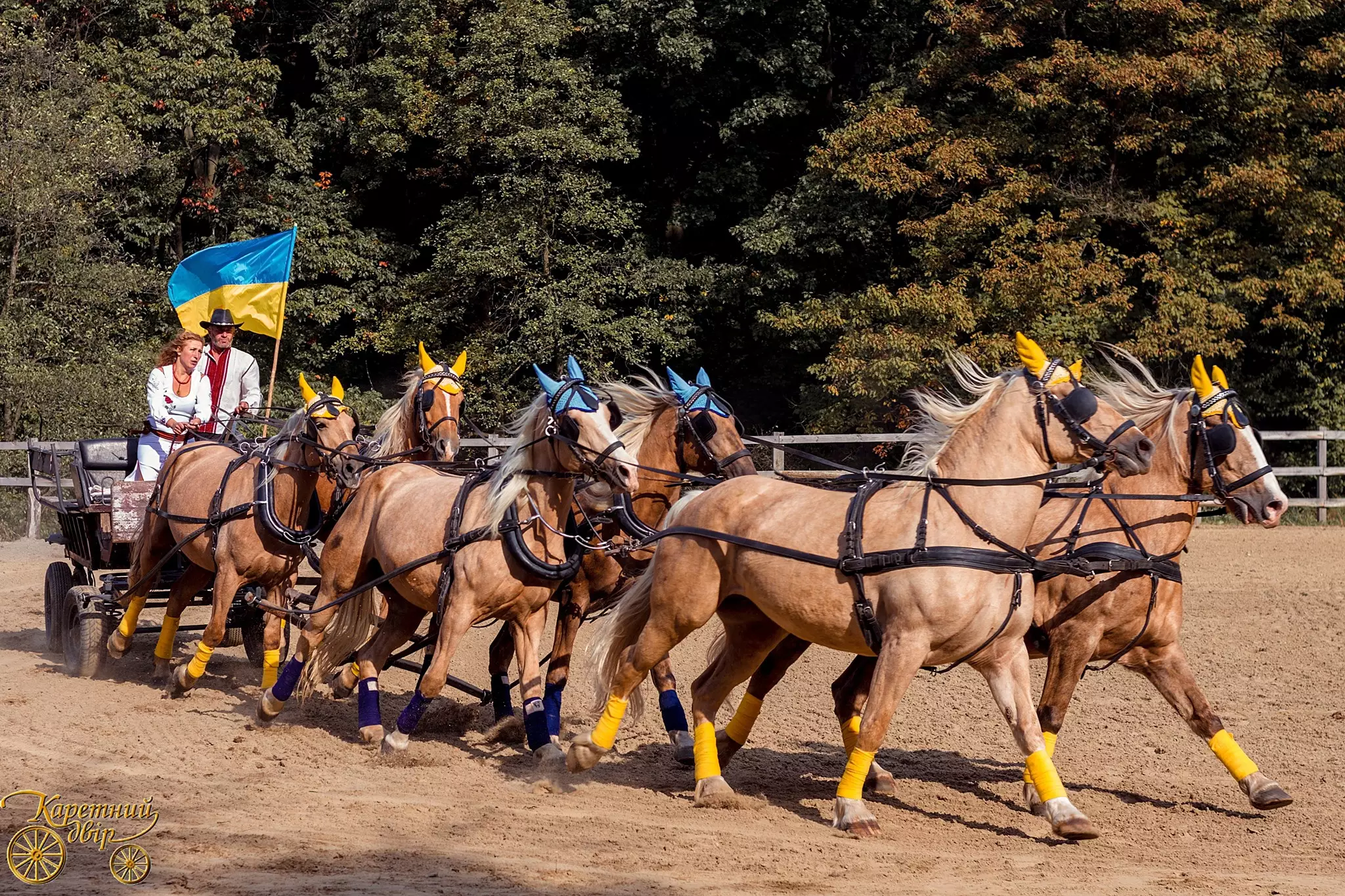 У Львові показали коней рідкісної породи