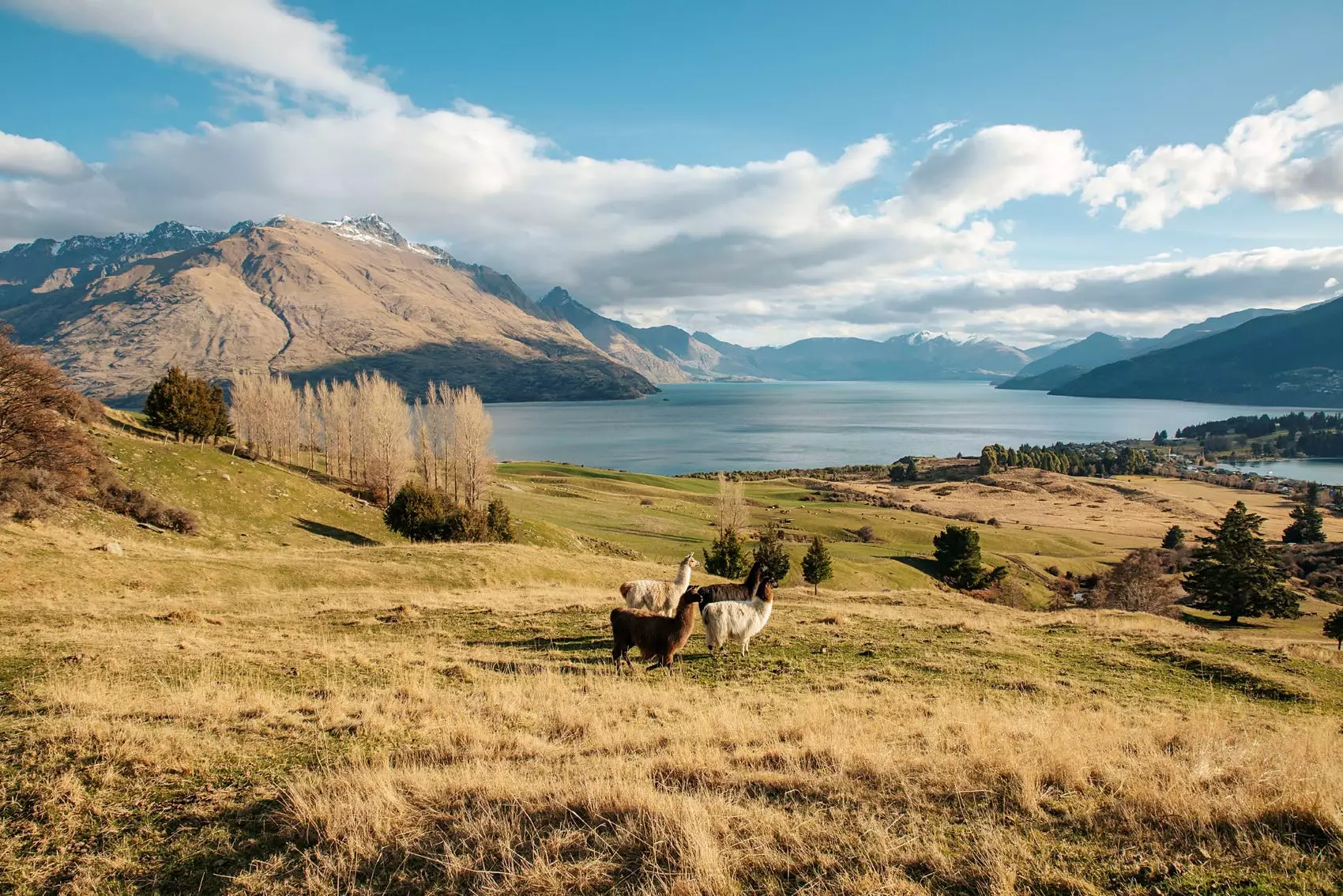 Місця зйомок "Володаря перснів" в Новій Зеландії