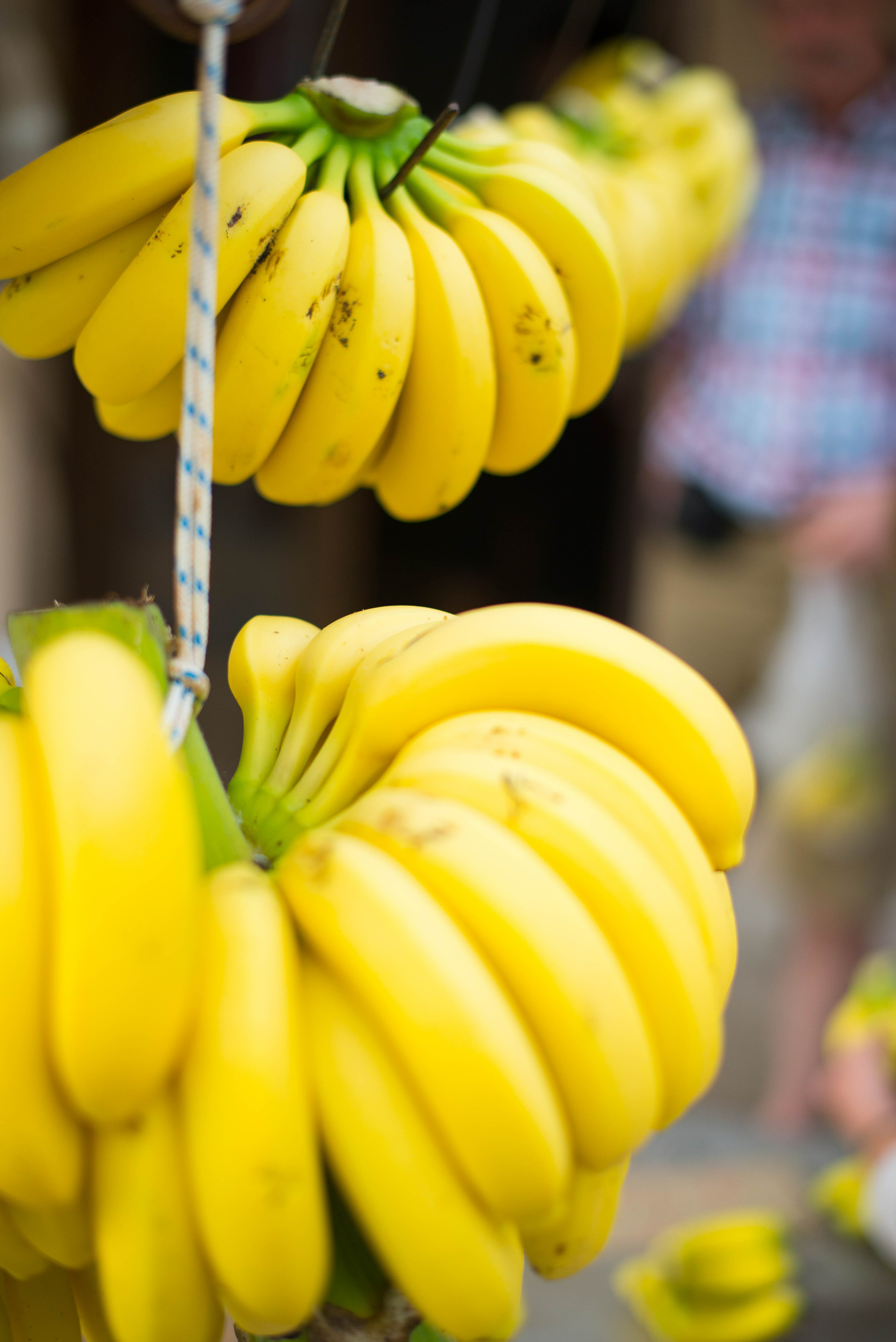 How To Store Bananas: 5 Simple Tips
