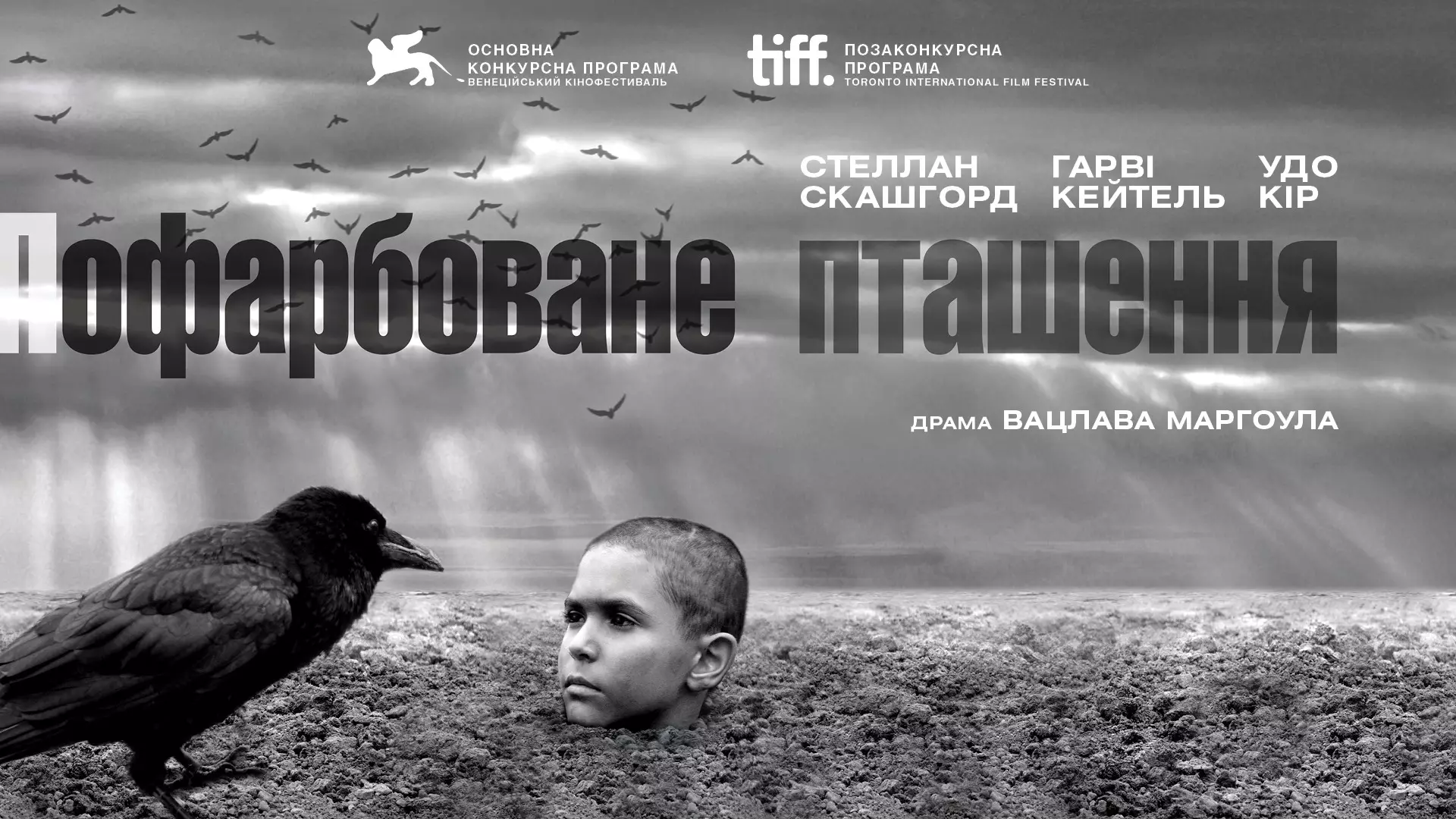 Фільм "Пофарбоване пташеня" номінований на премію Європейської кіноакадемії