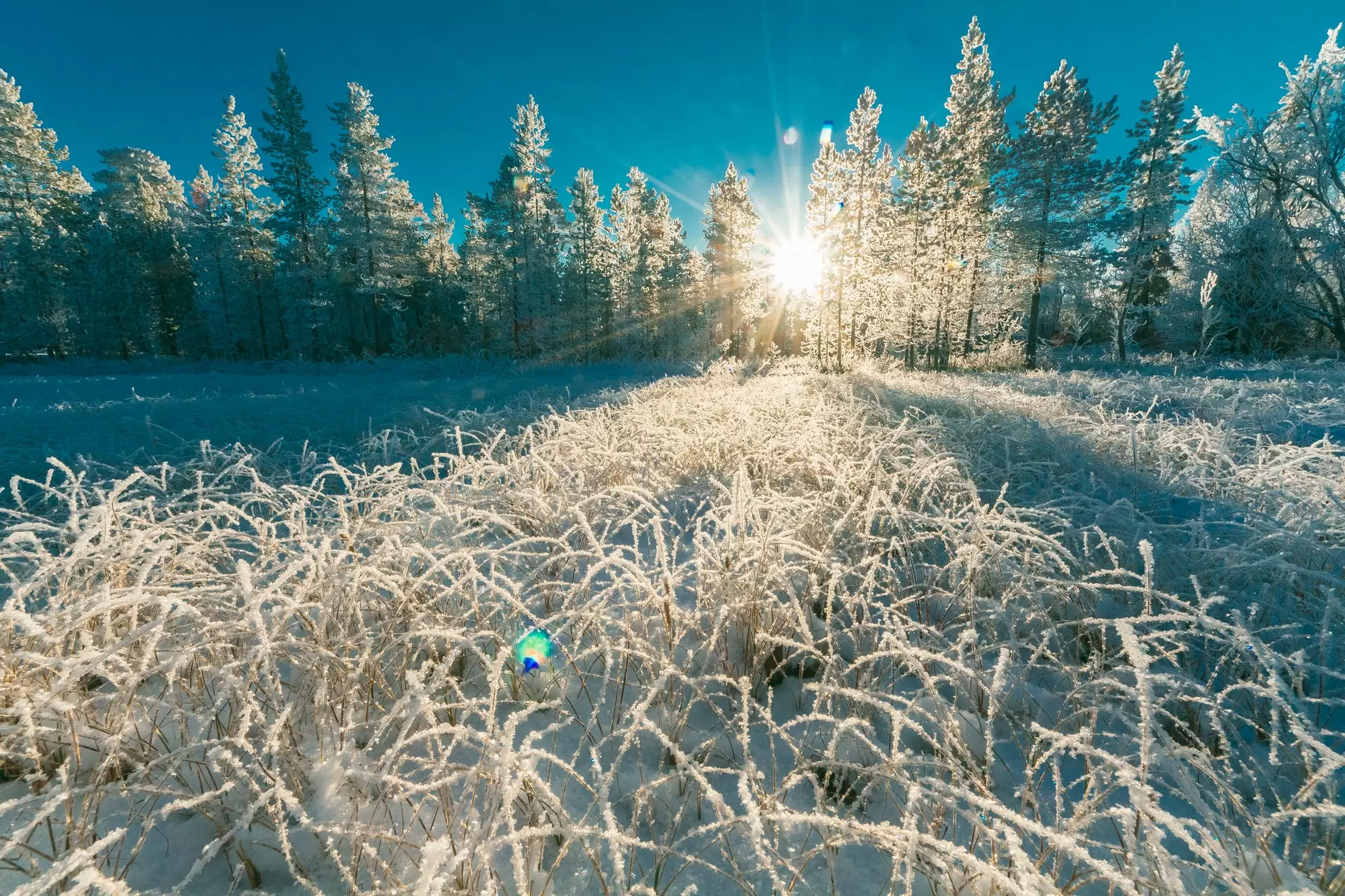 21 декабря день зимнего солнцестояния