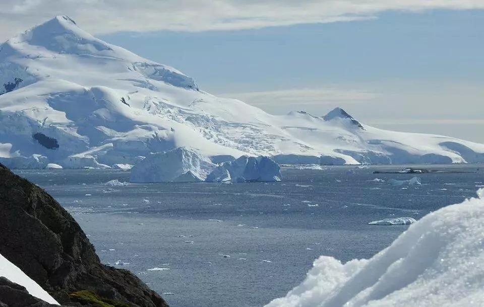 В Антарктиді різко зросла температура 