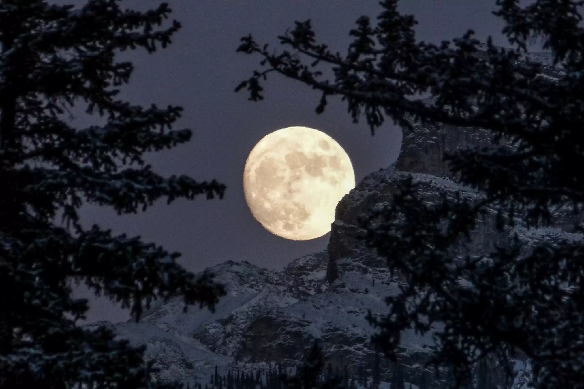 Полнолуние в январе  называется Волчья Луна