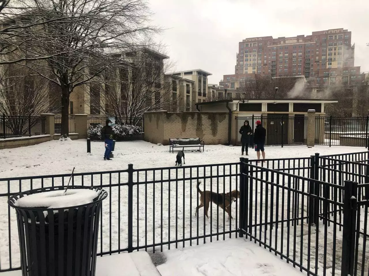 Вашингтон в ожидании снежной бури. Автор: Зоряна Степаненко