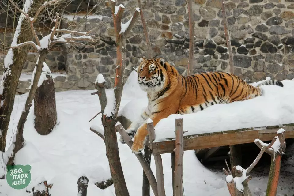 Фото: Киевский зоопарк/Facebook