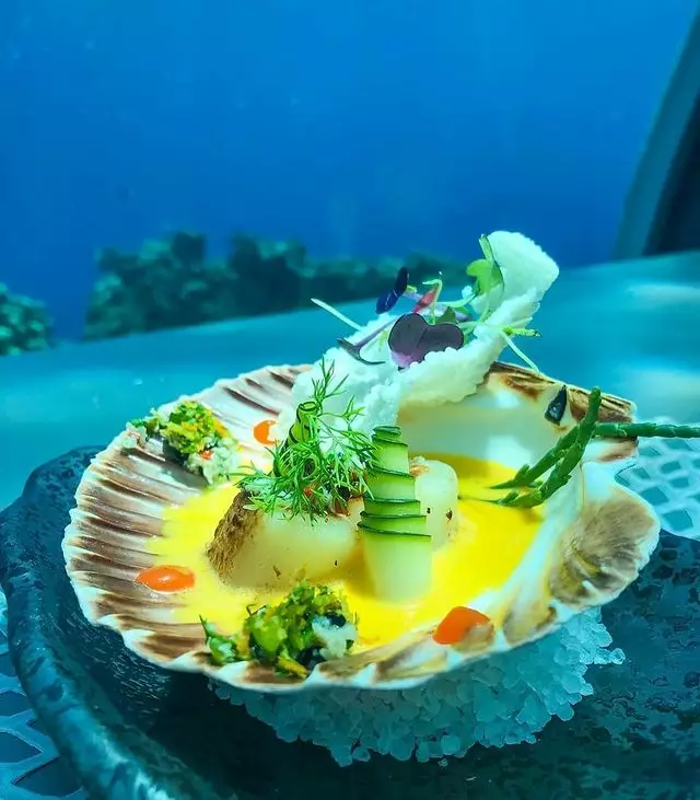 Подводная еда