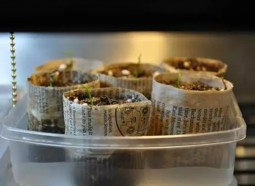 Як зробити контейнери для насіння та розсади / Фото: pinterest