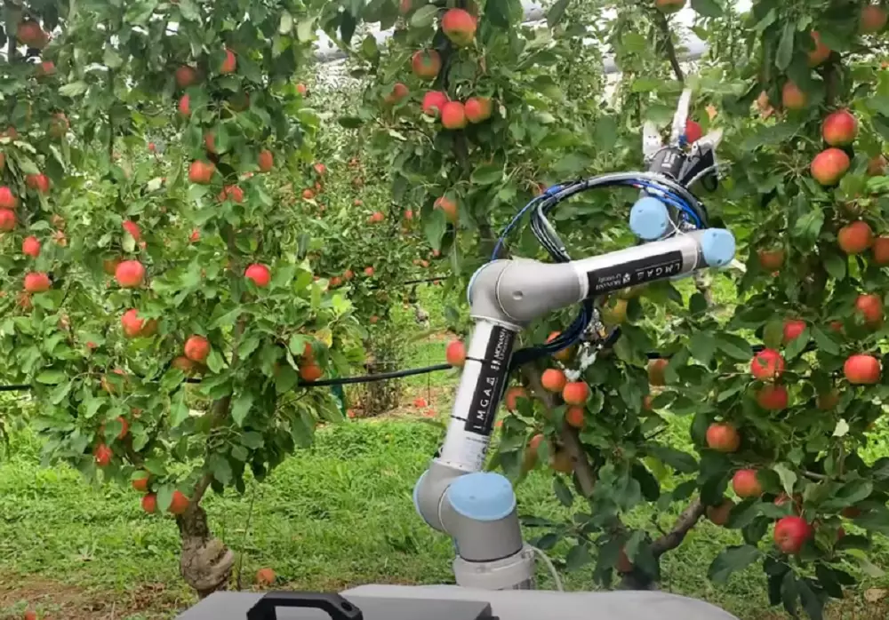 Робот для сбора яблок