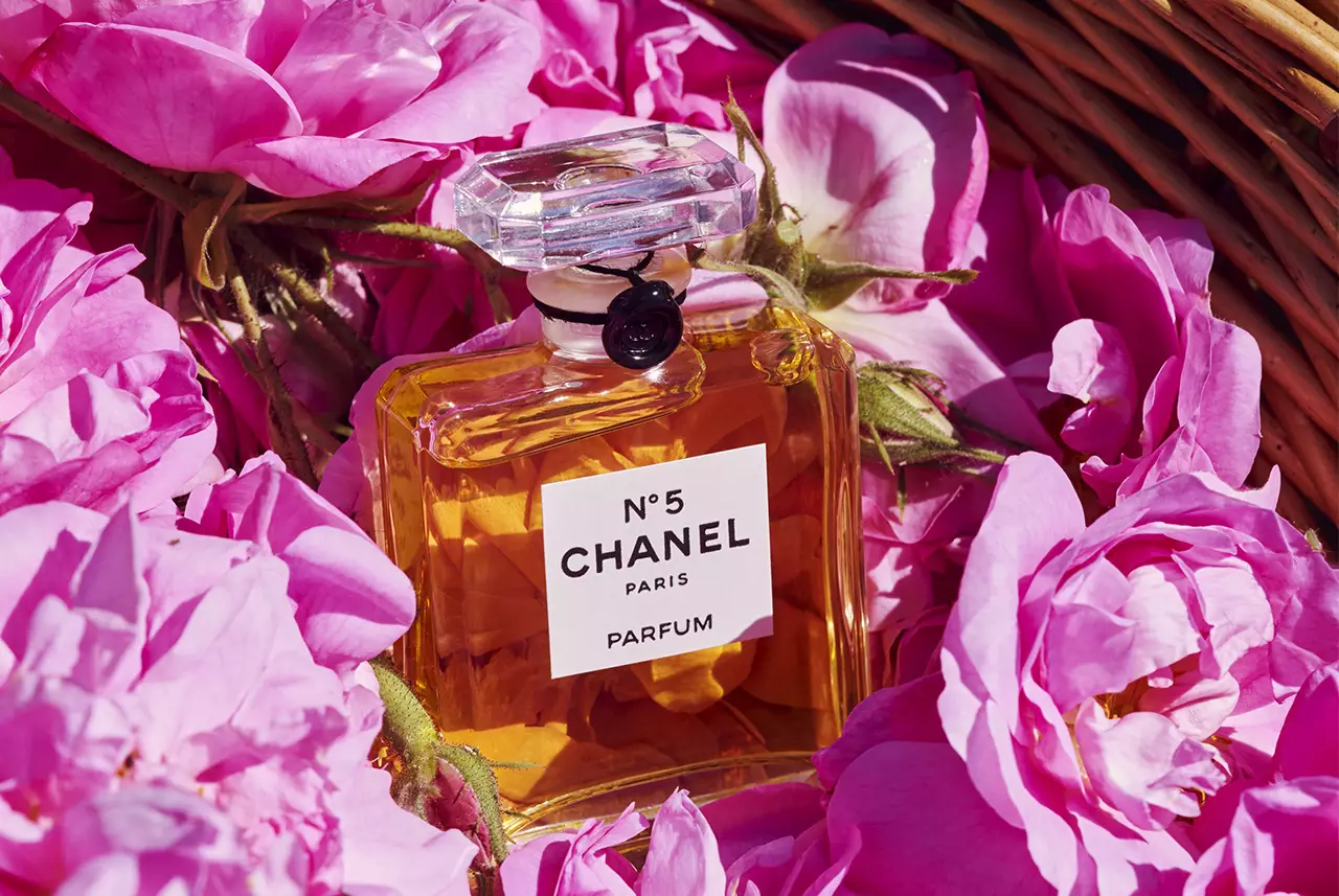 Картинки духов. Chanel no 5 Parfum. Духи «Chanel n°5 l’Eau».. Духи Шанель Флораль. Шанель Роуз духи.