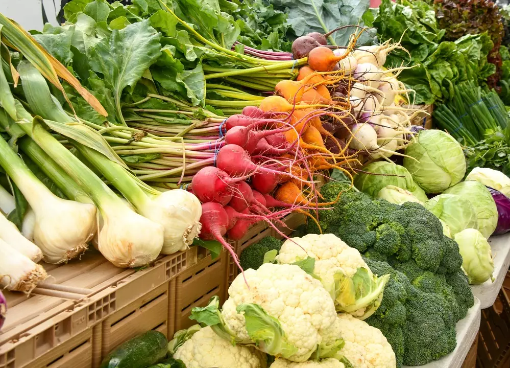 Из сезонных овощей витамином В-6 богаты чеснок, морковь, брокколи, помидоры, капуста