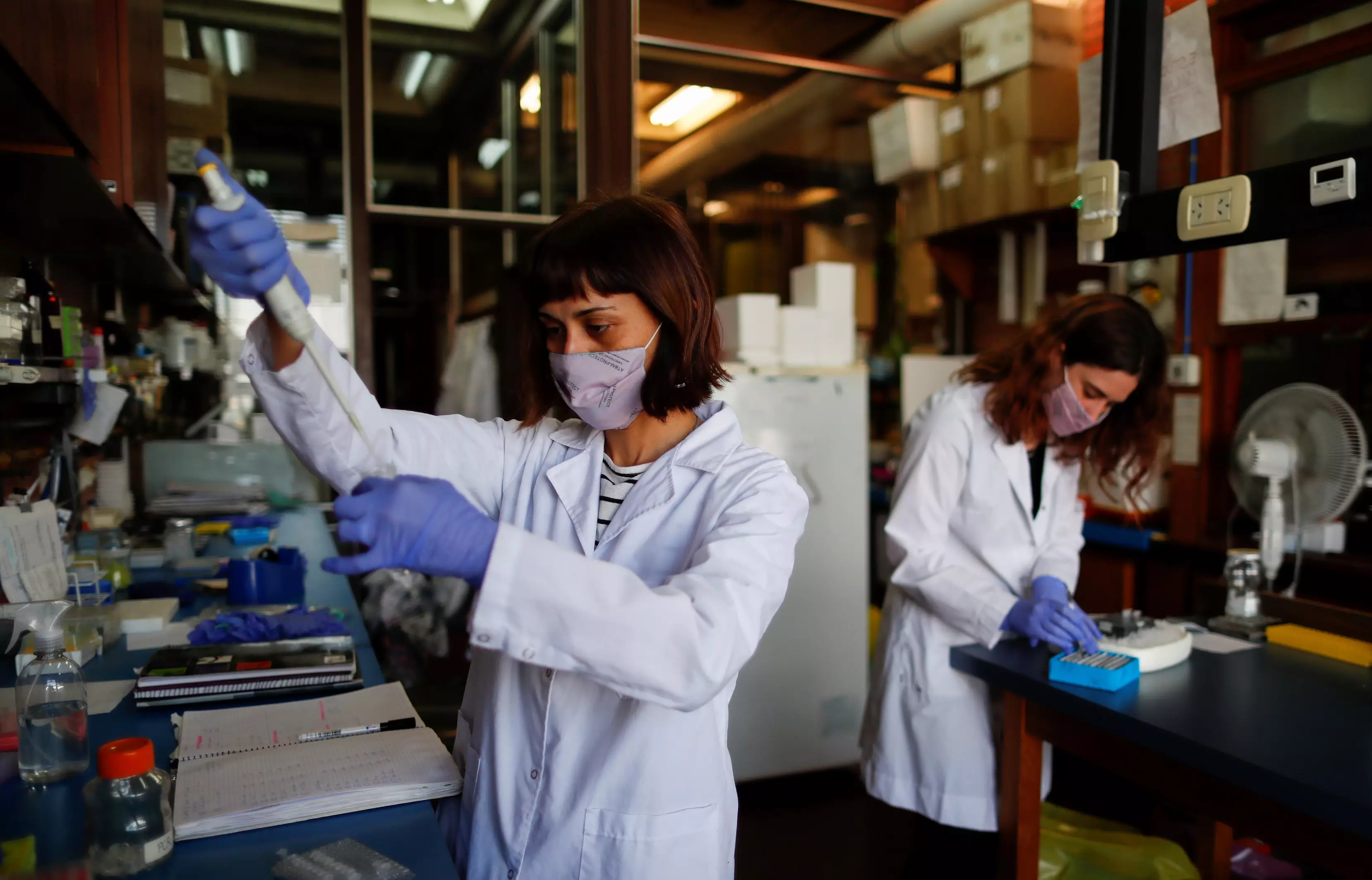 Лаборатория по созданию вакцин. Фото: REUTERS/Agustin Marcarian