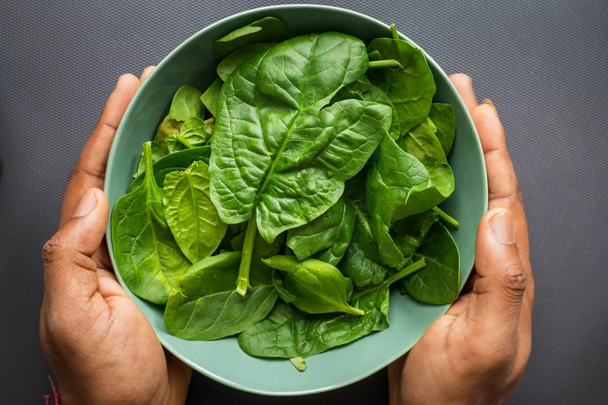 Шпинат очень полезный листовой овощ, но из-за щавелевой кислоты его нельзя есть при мочекаменной болезни. 