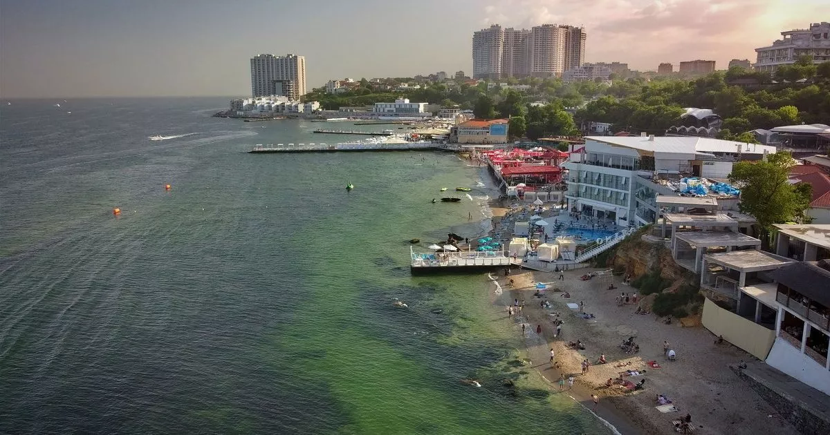 В Одессе "зацвело" Черное море. Фото: Одесский курьер