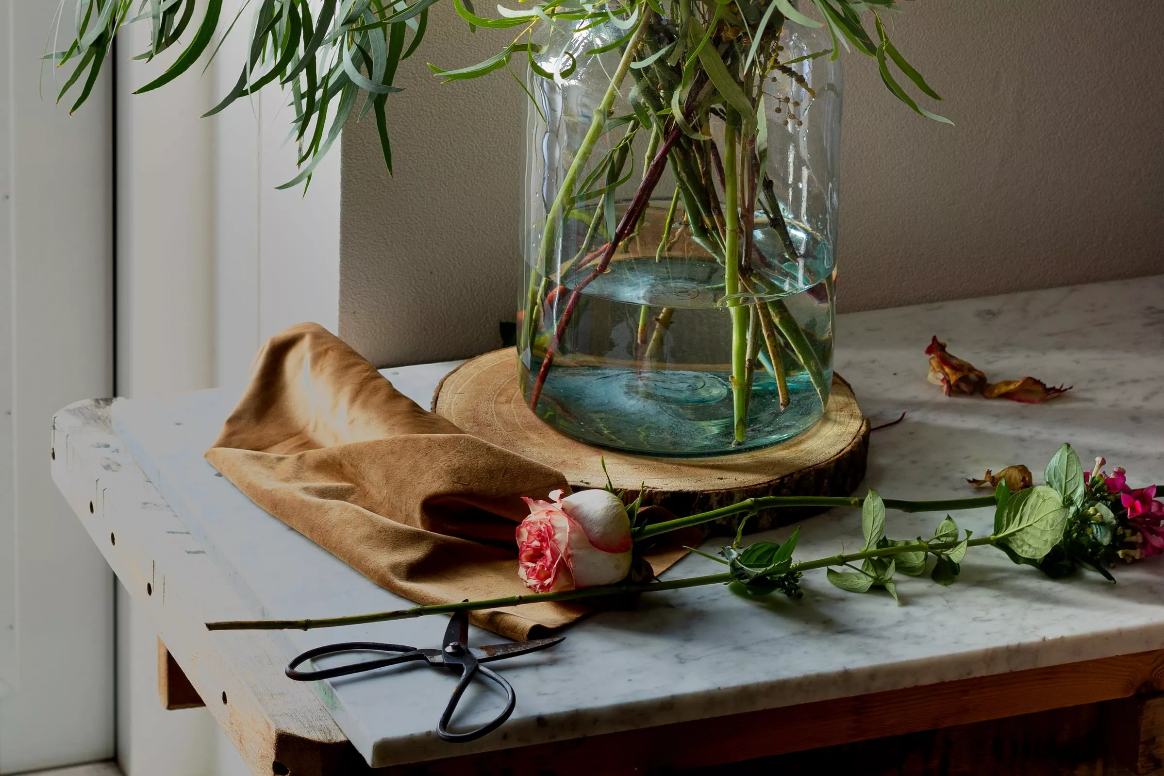 10 причин, почему комнатные растения и травы из магазина не выживают у вас дома, и как это изменить