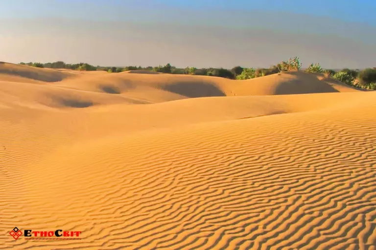 Олешковские пески – пустыни ОАЭ