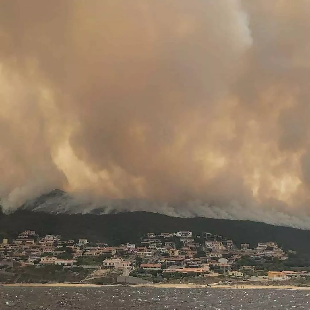 Остров Сардиния охвачен лесными пожарами. Фото Twitter/@CristinaMallai