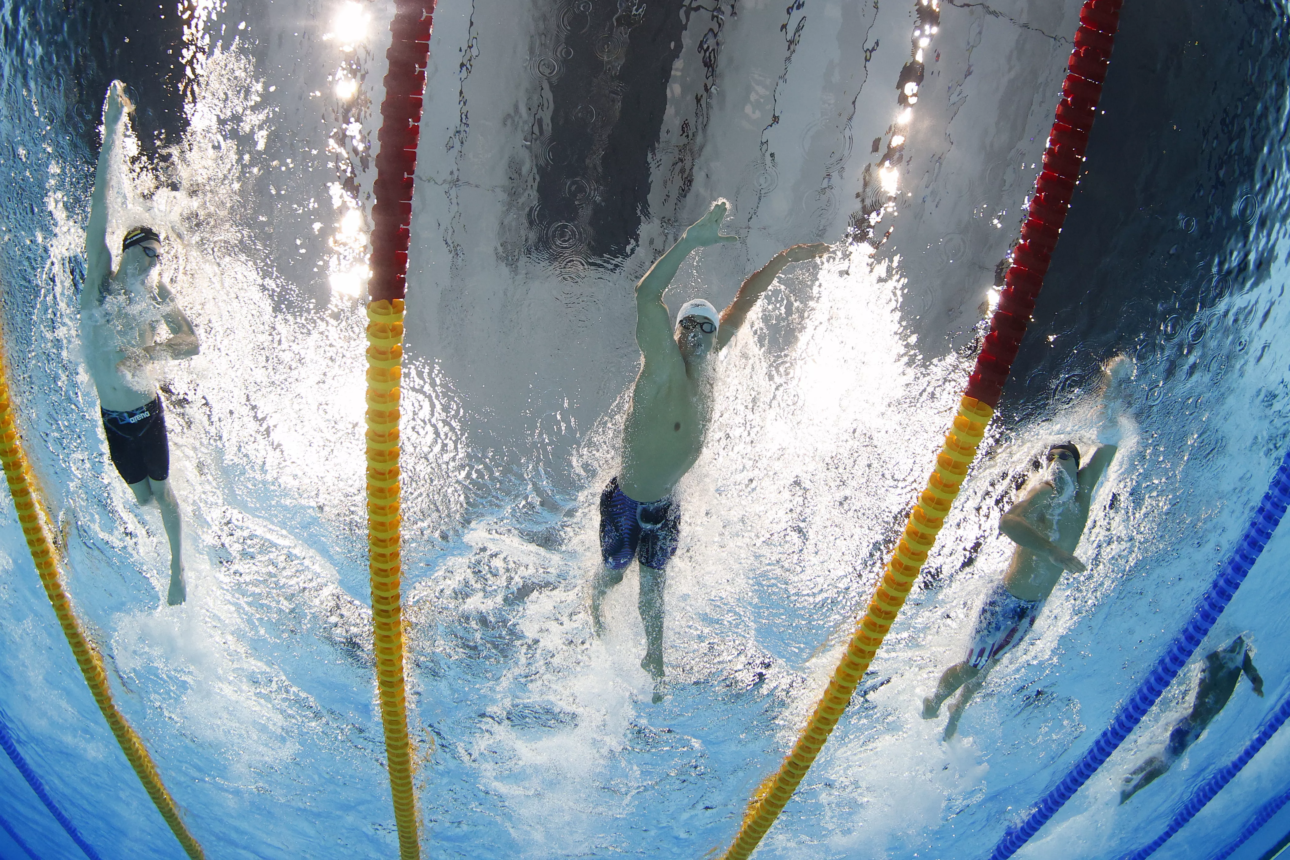 Финальный заплыв на 800 метров вольным стилем. Олимпиада-2020 в Токио