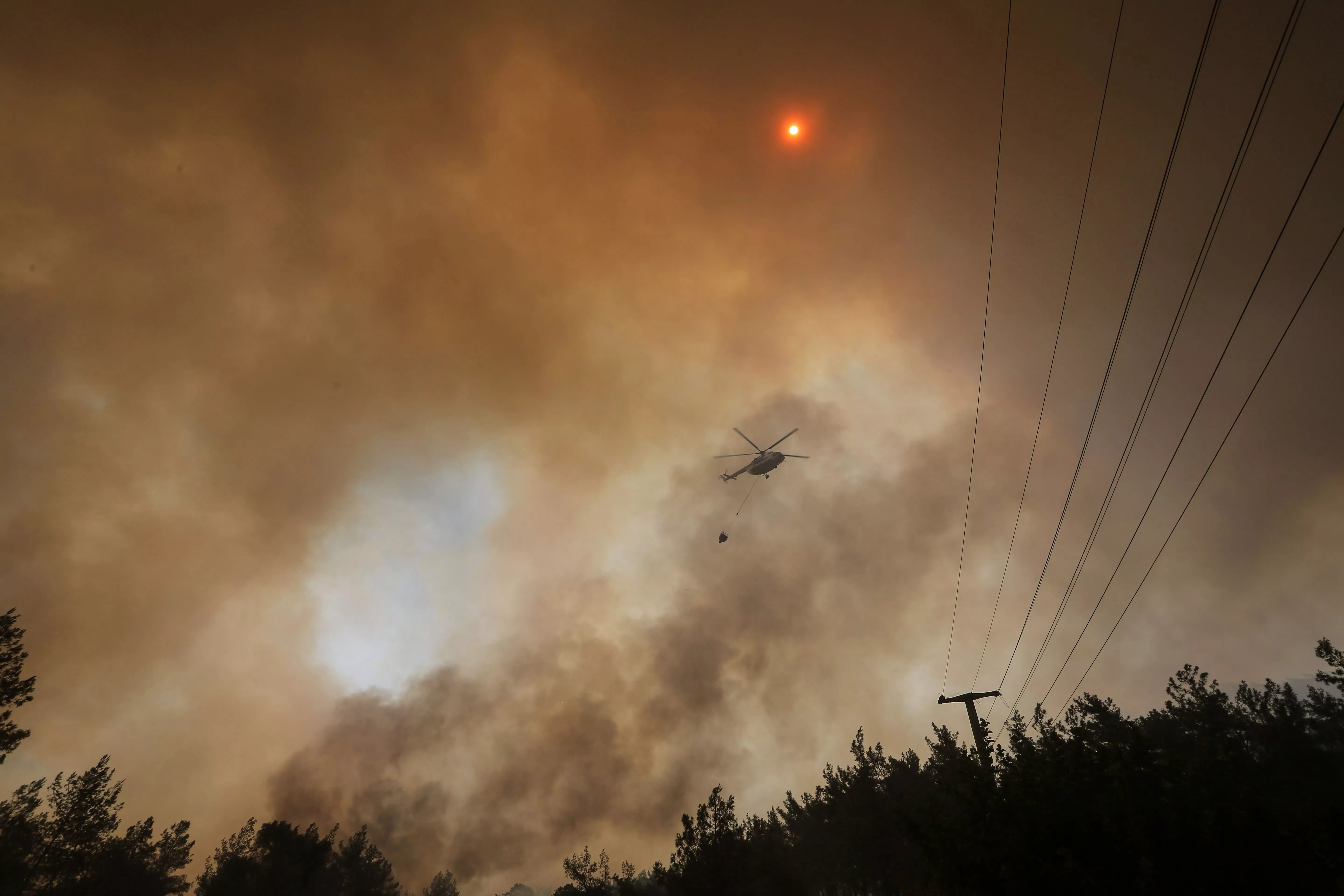 Пожежа в Туреччині. Фото Reuters / Kenan Gurbuz
