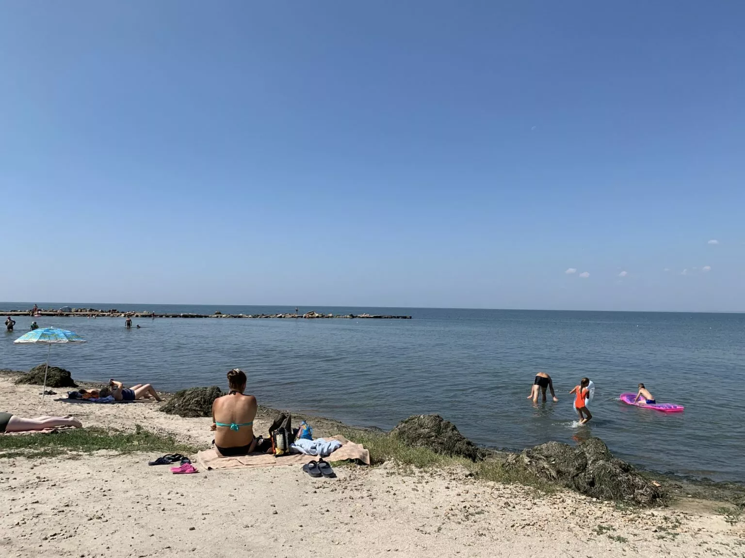Пляжі у Бердянську покрыли купи водорослів / PRO.berdiansk.biz
