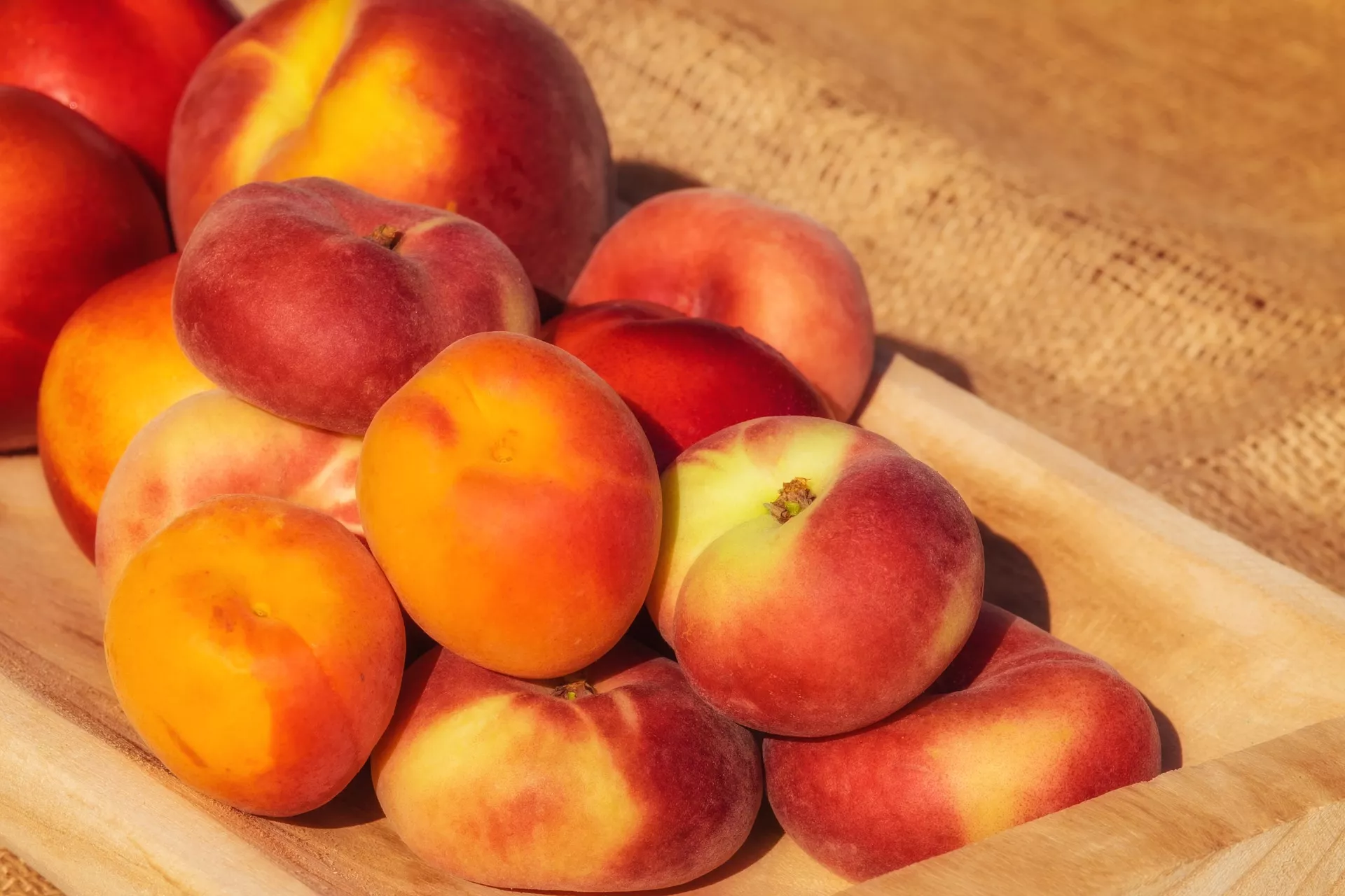Персики и абрикосы