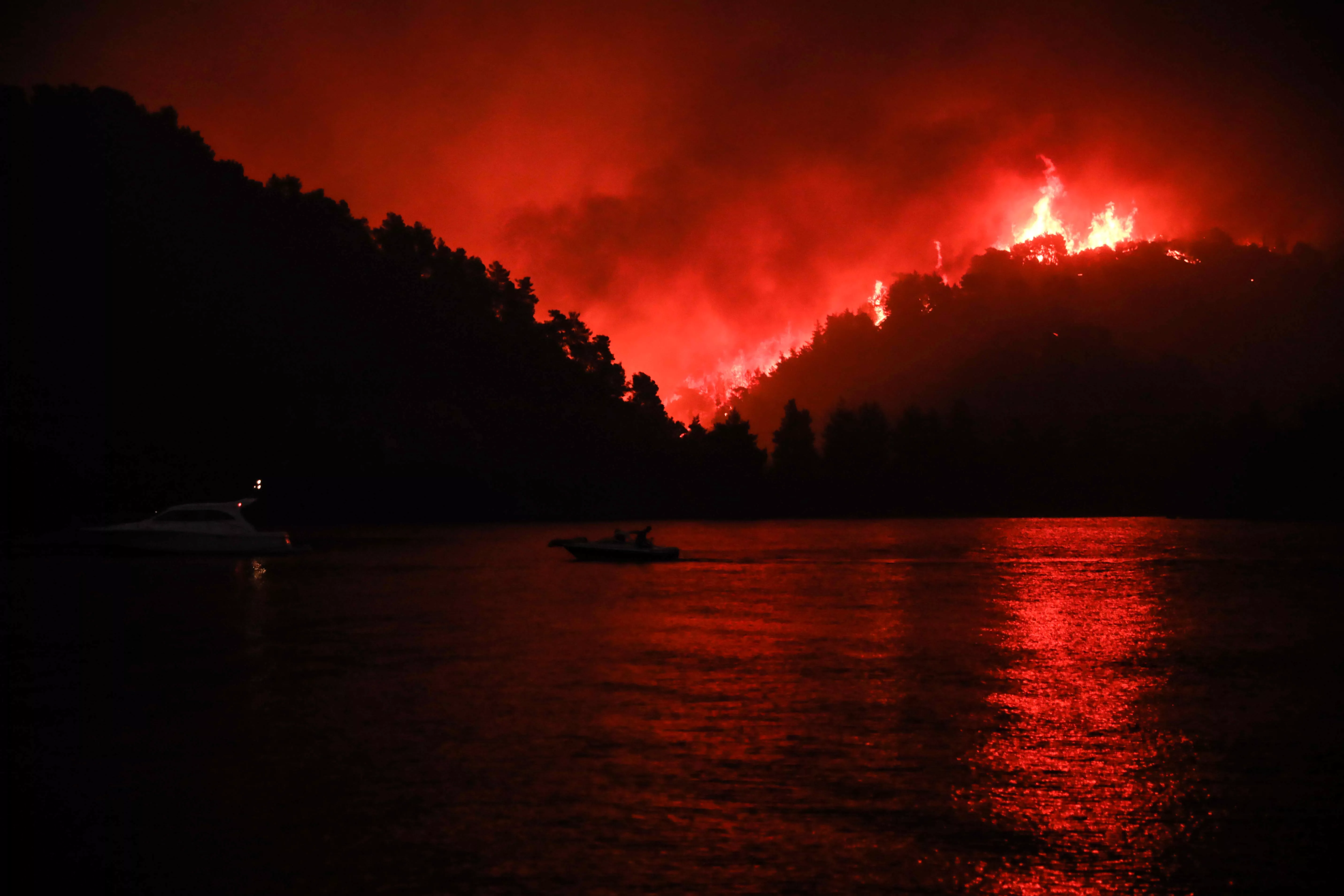 Шестой день лесные пожары бушуют в Греции / Фото Reuters