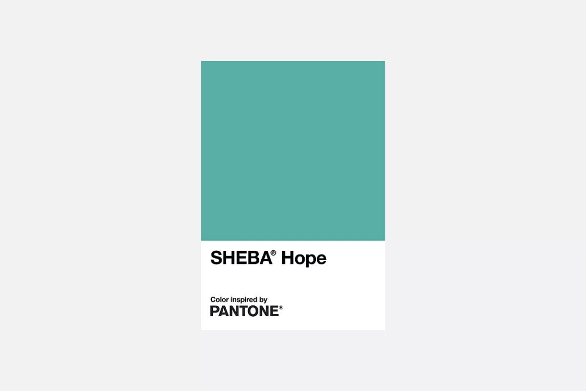 Цвет Pantone Sheba Hope