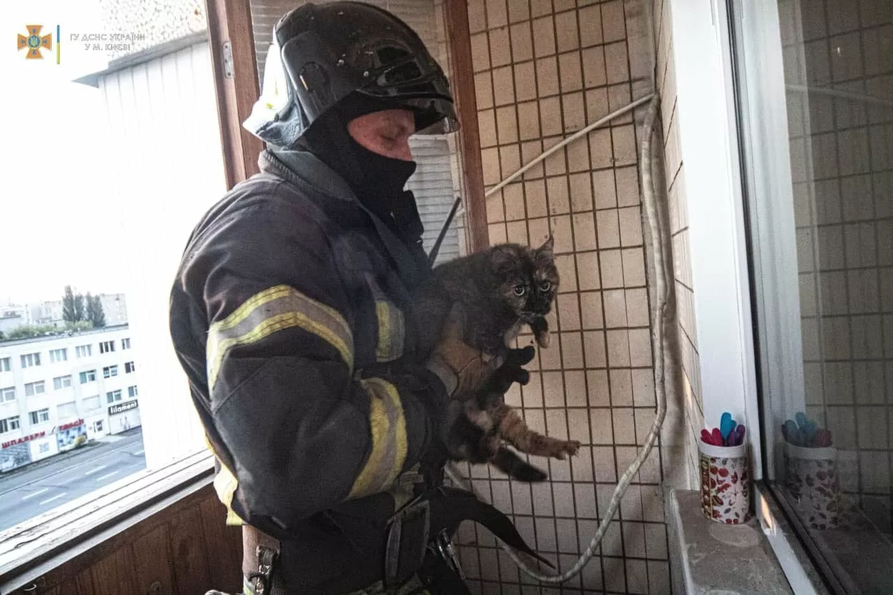 В Киеве пожарные спасли испуганную кошку с горящего балкона