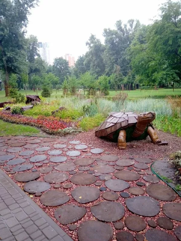 Черепаха в парке "Наталка". Фото: КП СЗН Оболонского района