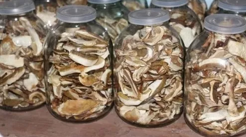 Как хранить грибы