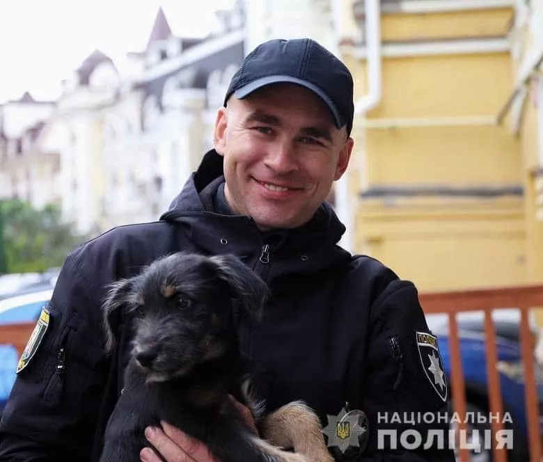 Собака, которая нашла семью, в руках полицейского