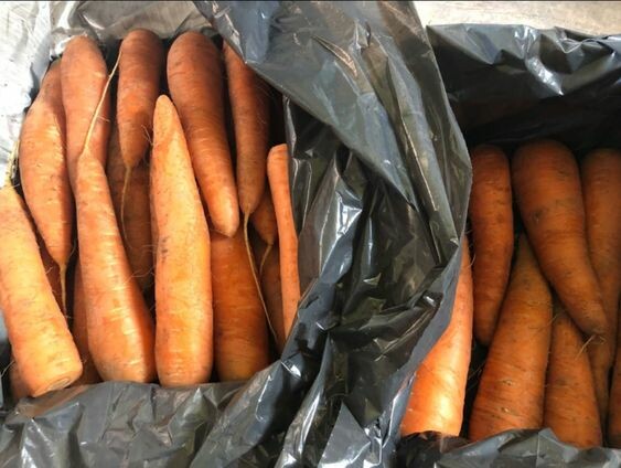 Як зберігати моркву / Фото: pinterest 