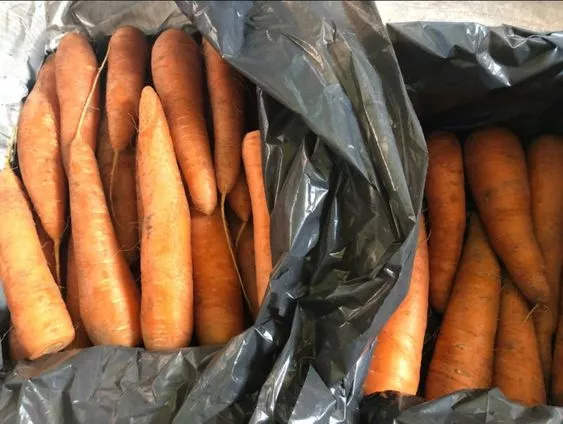 Как хранить морковь / Фото: pinterest