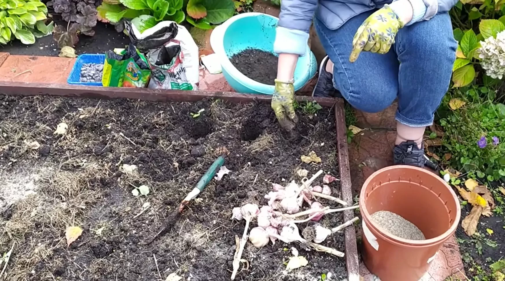  Как подготовить почву для чеснока / Фото: скриншот из YouTube/Садовый Гид