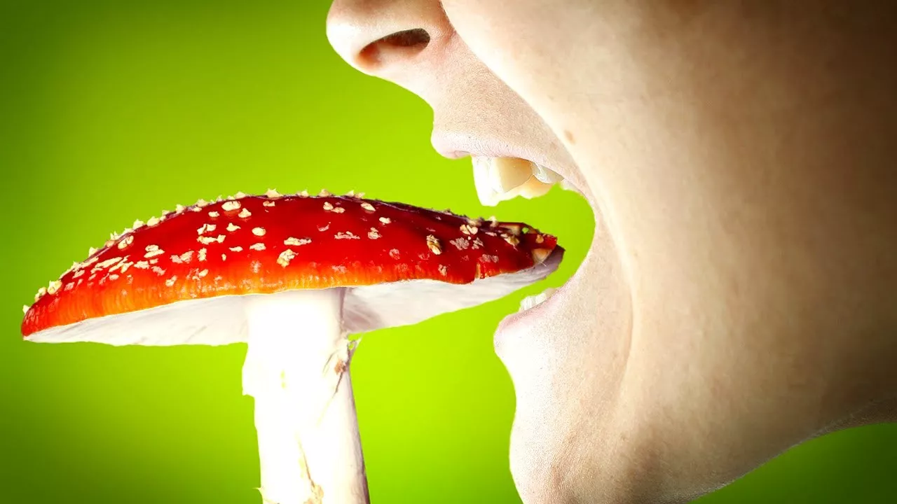 Отравление грибами. Фото: "Клиника Шаритель"