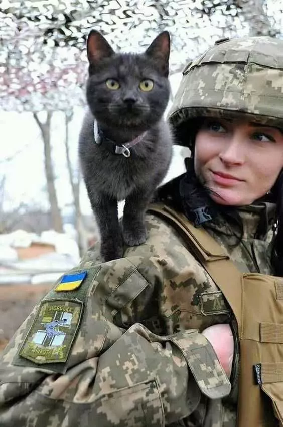 С Днем защитников и защитниц Украины: картинки и поздравления / Фото: pinterest