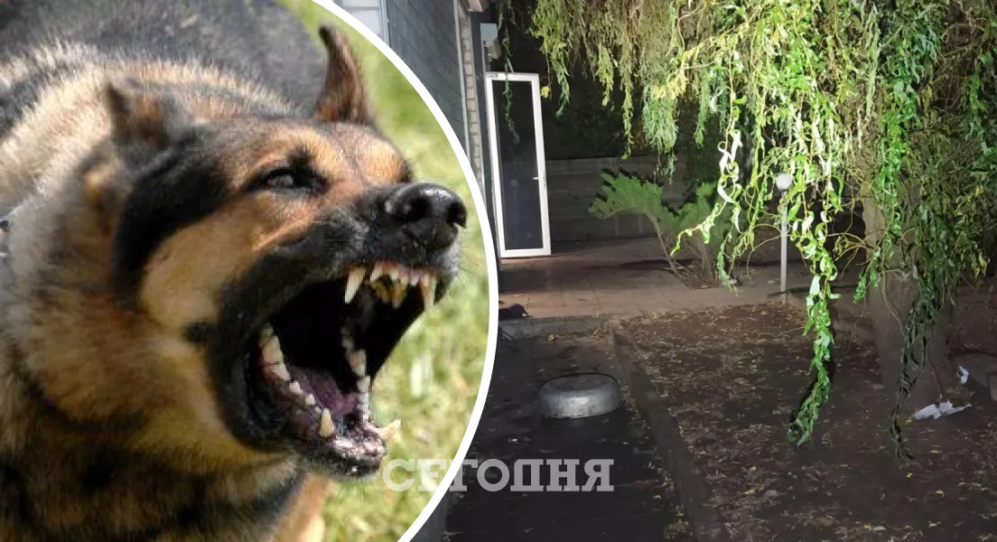 В Харькове собаки загрызли хозяйку